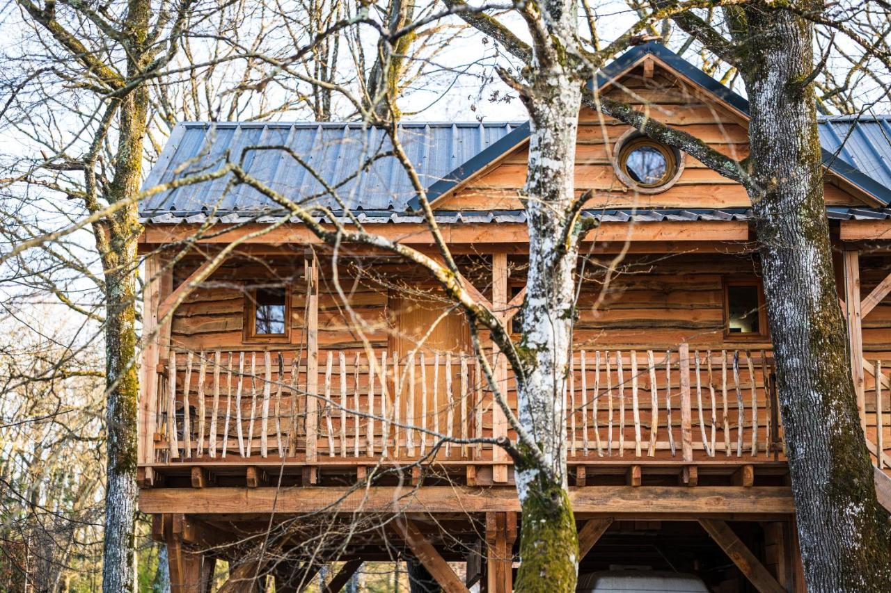 Charmante Cabane Dans Les Arbres Avec Jacuzzi Et Sauna Boismorand المظهر الخارجي الصورة