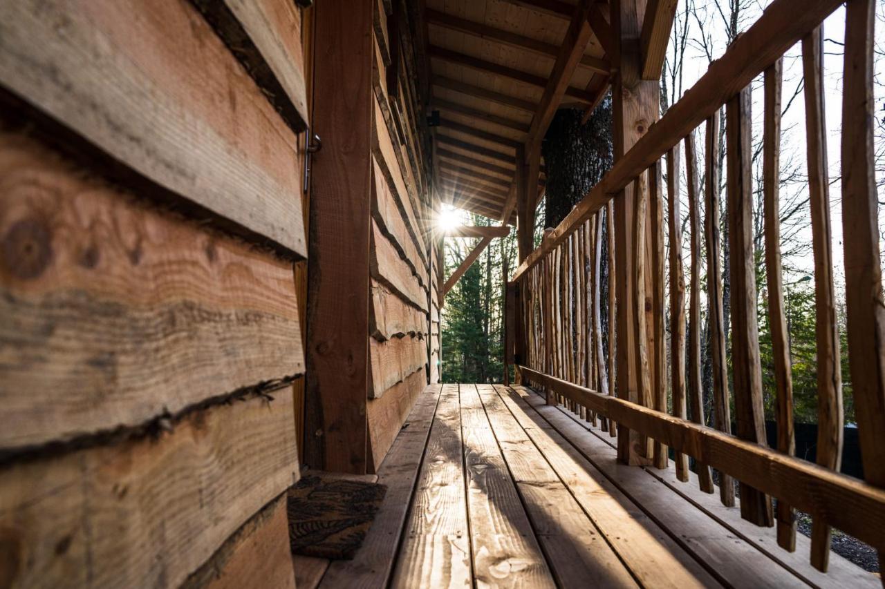 Charmante Cabane Dans Les Arbres Avec Jacuzzi Et Sauna Boismorand المظهر الخارجي الصورة