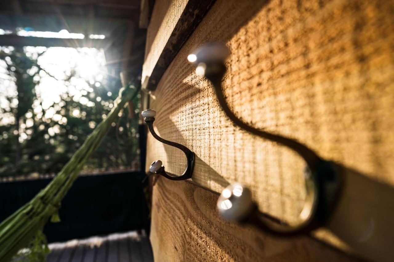 Charmante Cabane Dans Les Arbres Avec Jacuzzi Et Sauna Boismorand المظهر الخارجي الصورة