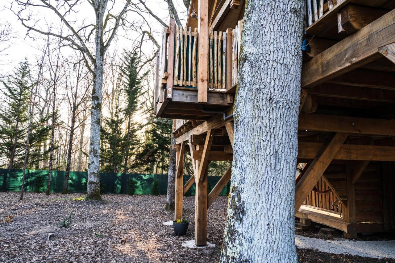 Charmante Cabane Dans Les Arbres Avec Jacuzzi Et Sauna Boismorand المظهر الخارجي الصورة