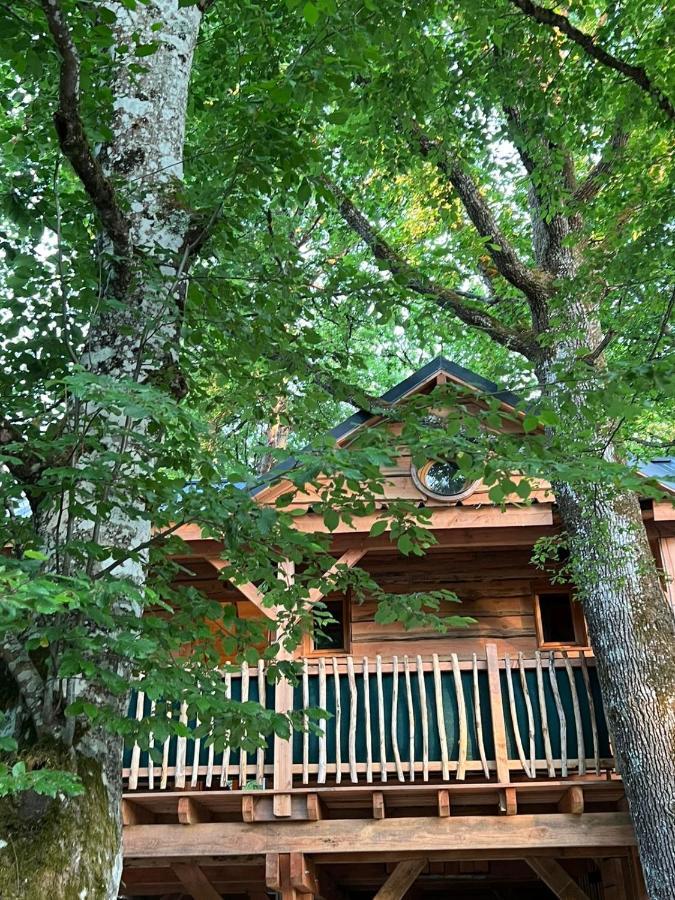 Charmante Cabane Dans Les Arbres Avec Jacuzzi Et Sauna Boismorand المظهر الخارجي الصورة