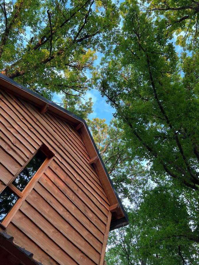 Charmante Cabane Dans Les Arbres Avec Jacuzzi Et Sauna Boismorand المظهر الخارجي الصورة