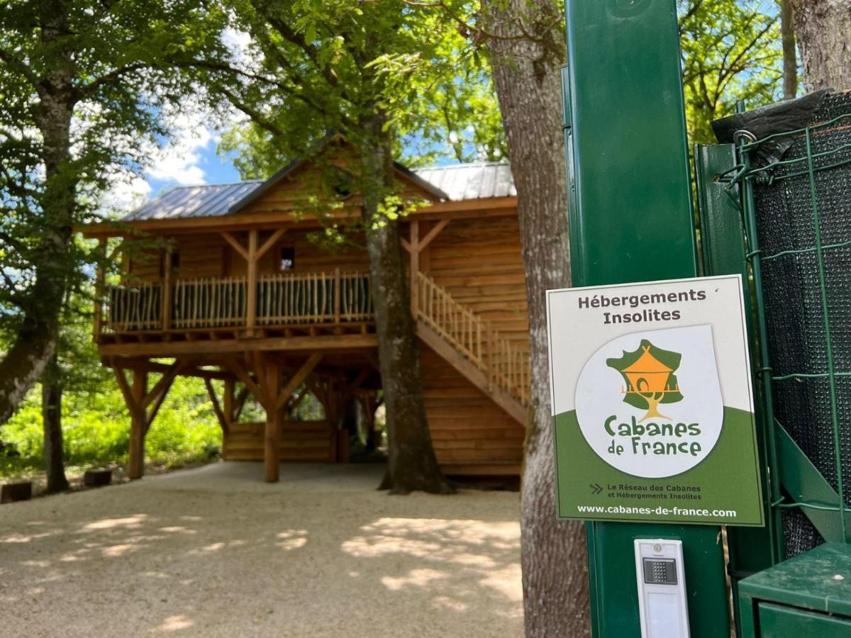 Charmante Cabane Dans Les Arbres Avec Jacuzzi Et Sauna Boismorand المظهر الخارجي الصورة