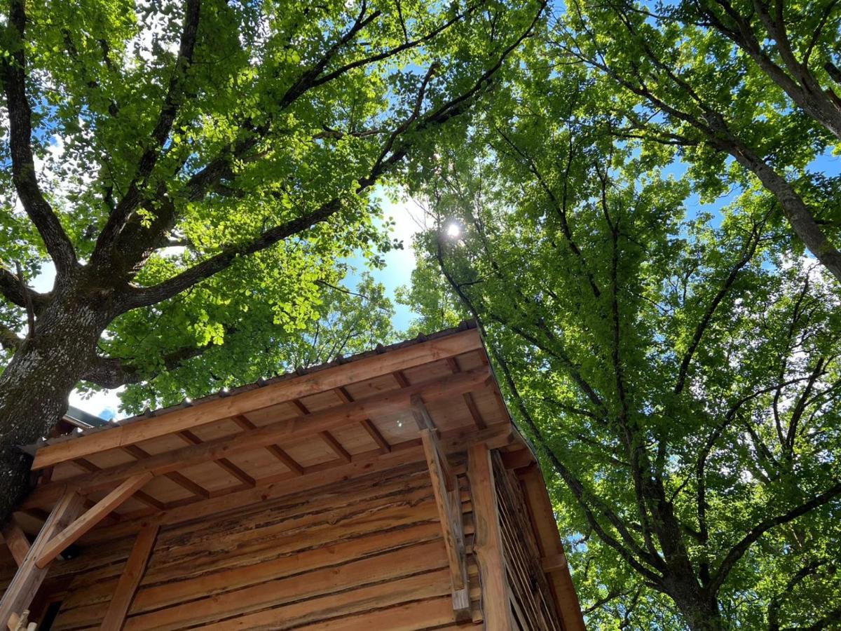Charmante Cabane Dans Les Arbres Avec Jacuzzi Et Sauna Boismorand المظهر الخارجي الصورة