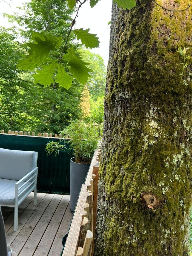 Charmante Cabane Dans Les Arbres Avec Jacuzzi Et Sauna Boismorand المظهر الخارجي الصورة