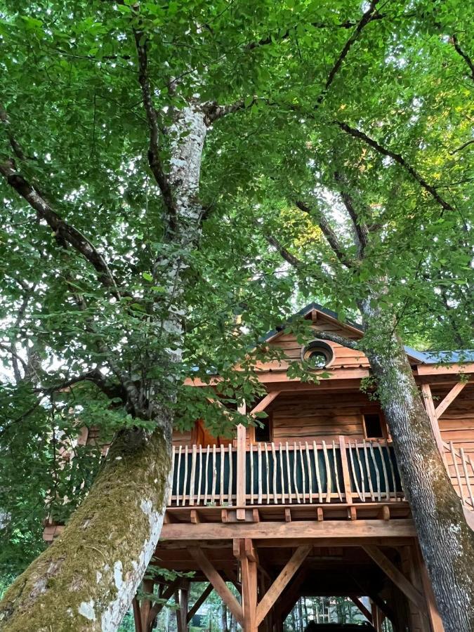 Charmante Cabane Dans Les Arbres Avec Jacuzzi Et Sauna Boismorand المظهر الخارجي الصورة