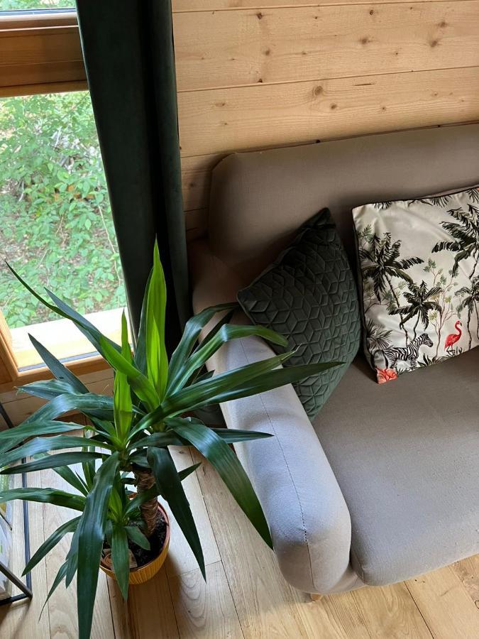 Charmante Cabane Dans Les Arbres Avec Jacuzzi Et Sauna Boismorand المظهر الخارجي الصورة